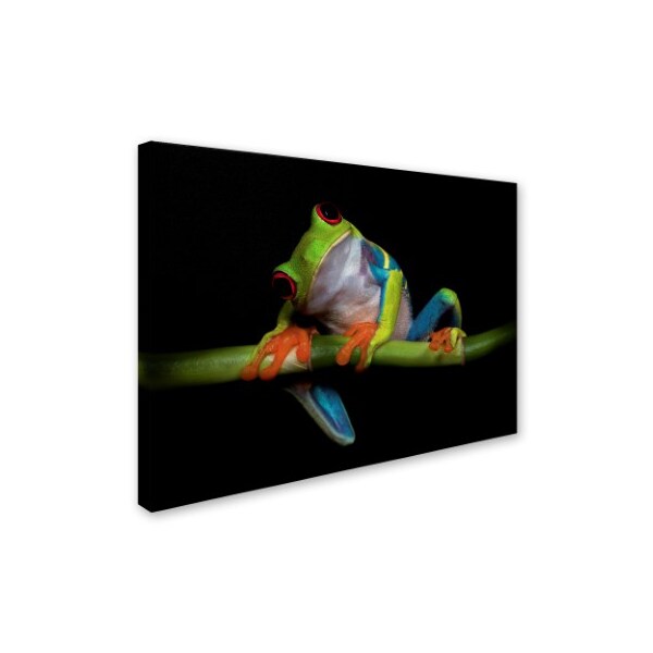 Ferdinando Valverde 'Curiosity' Canvas Art,35x47